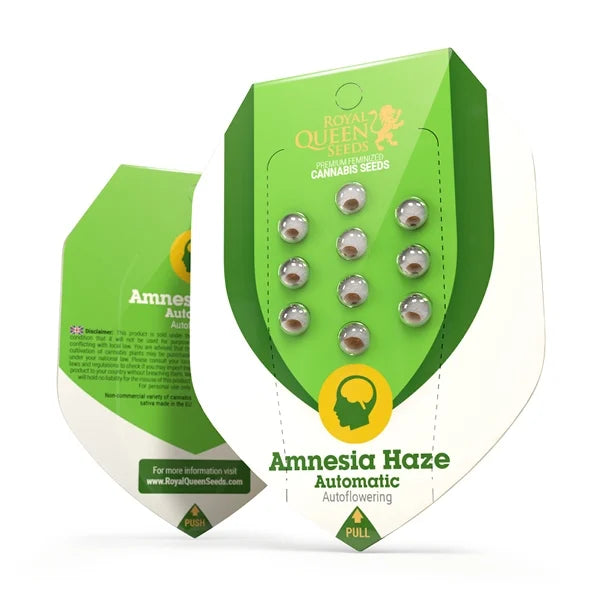 Royal Queen Seeds Hanfsamen Amnesia Haze Auto ( 3 Samen )